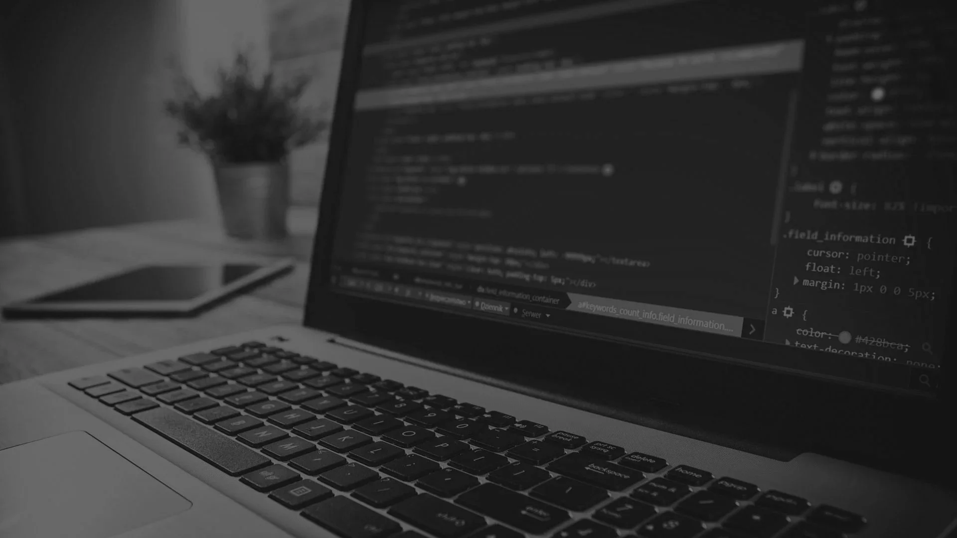 Software Development